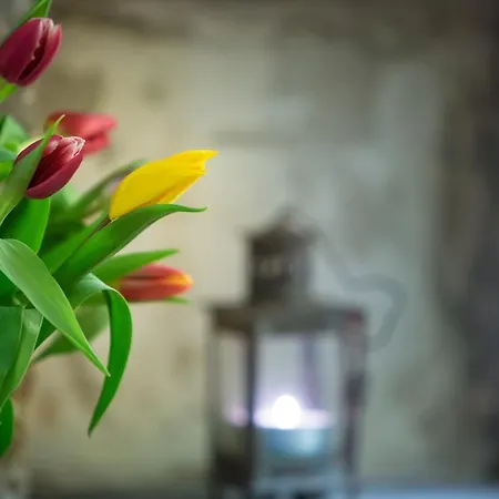 罗坎达阿尔波莫奥卢酒店 酒店 3*