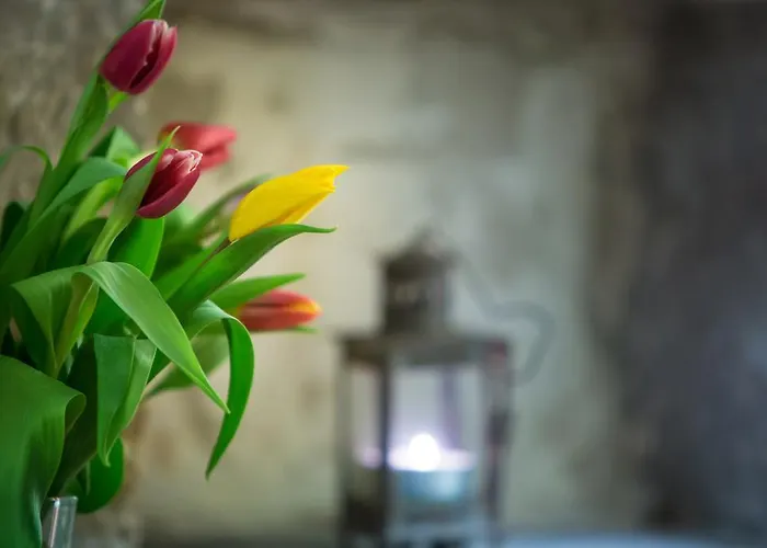 Al Pomo D'oro Szálloda 3*